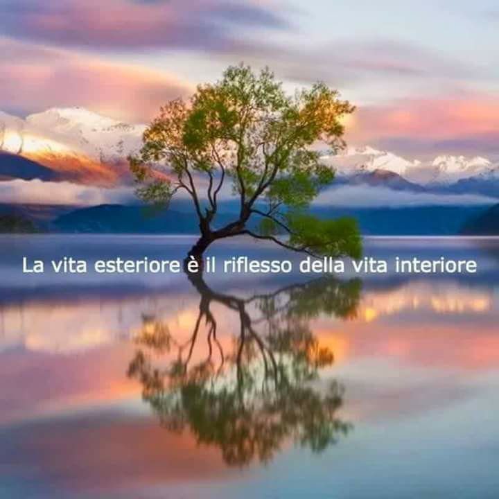 ALBERO